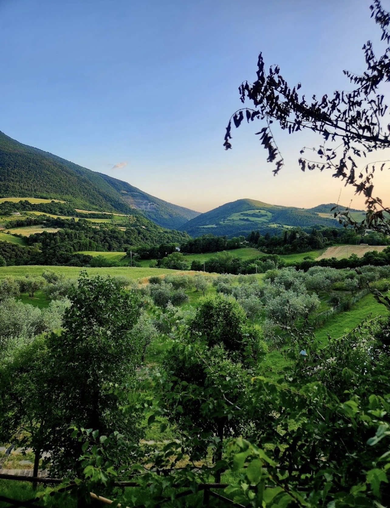 Rolling Umbrian hills around Villamena